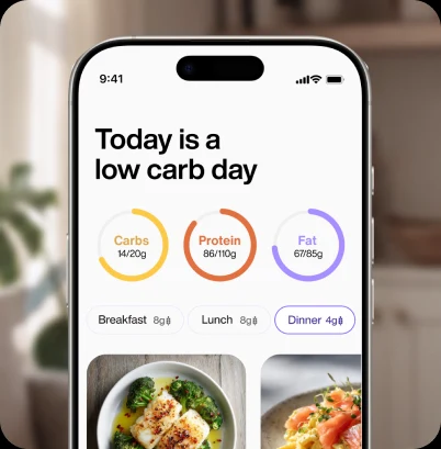 Lumen app showing a personalized daily nutrition plan